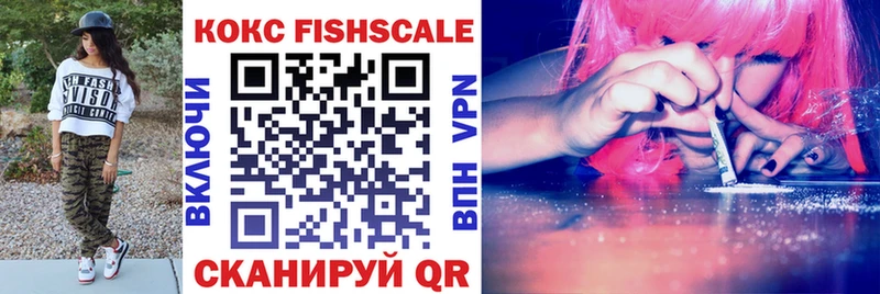 Купить закладки  Данилов  КОКАИН FishScale 