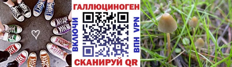 Псилоцибиновые грибы ЛСД  Купить закладки  Данилов 